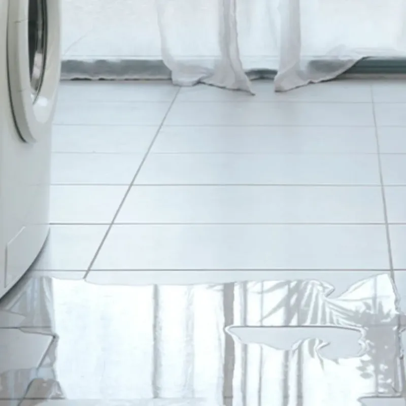 Appliance Leak Cleanup in West Park, CA